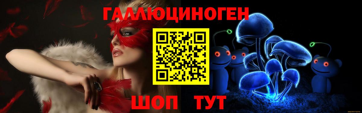 Галлюциногенные грибы Psilocybe Первоуральск